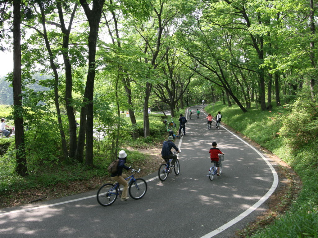 サイクリングコース Enjoy Sports Bicycle